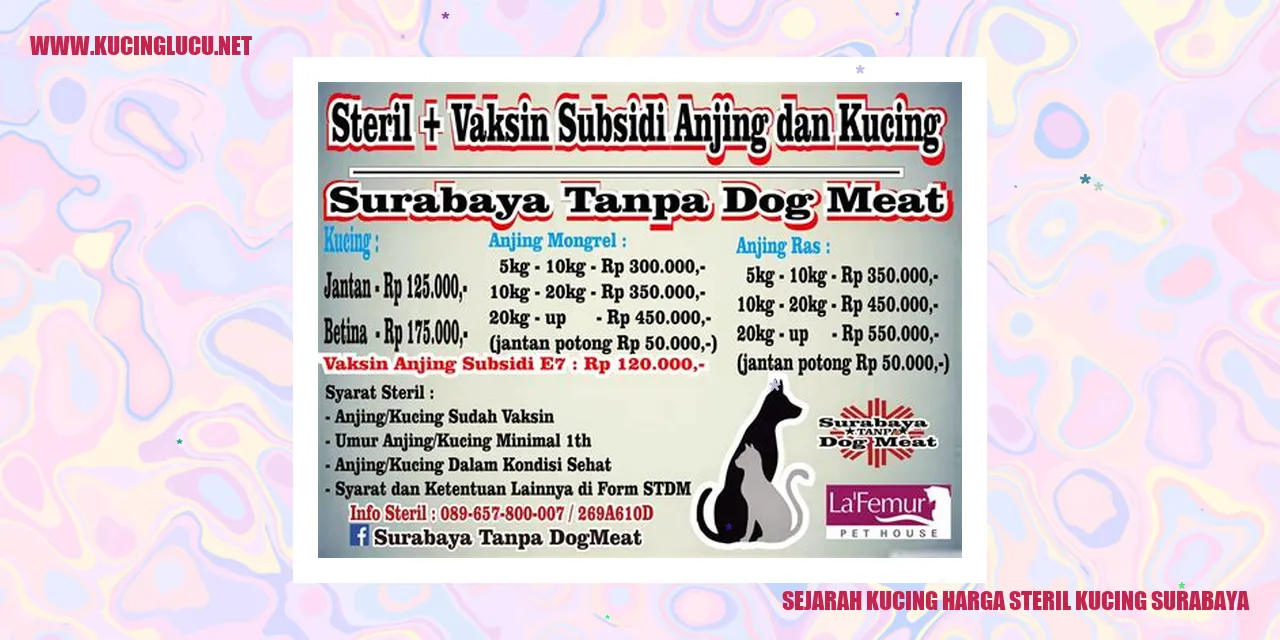 gambar kucing di Surabaya