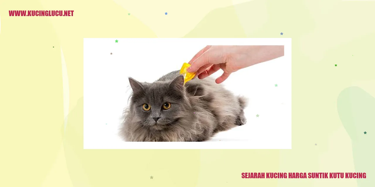 Gambar Kucing