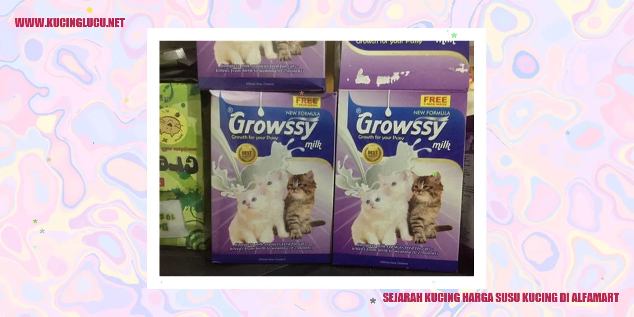 Gambar Kucing