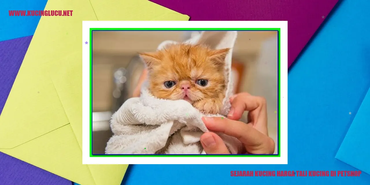 Sejarah Kucing harga tali kucing di petshop