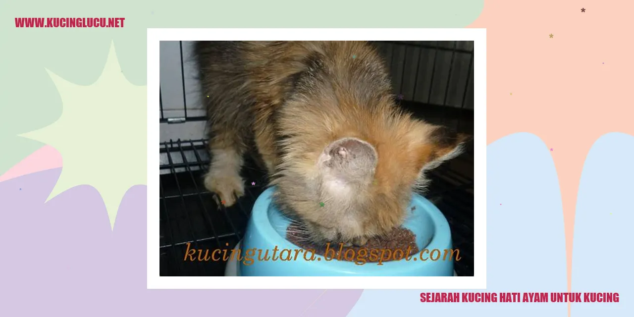 Kucing Hati Ayam untuk Kucing