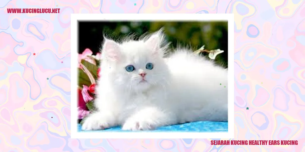 Kucing Sehat dengan Telinga yang Sehat