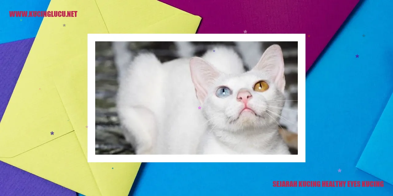 Kucing dengan mata sehat