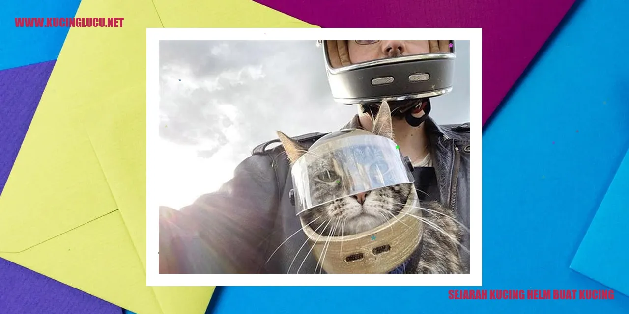 Kucing dengan Helm