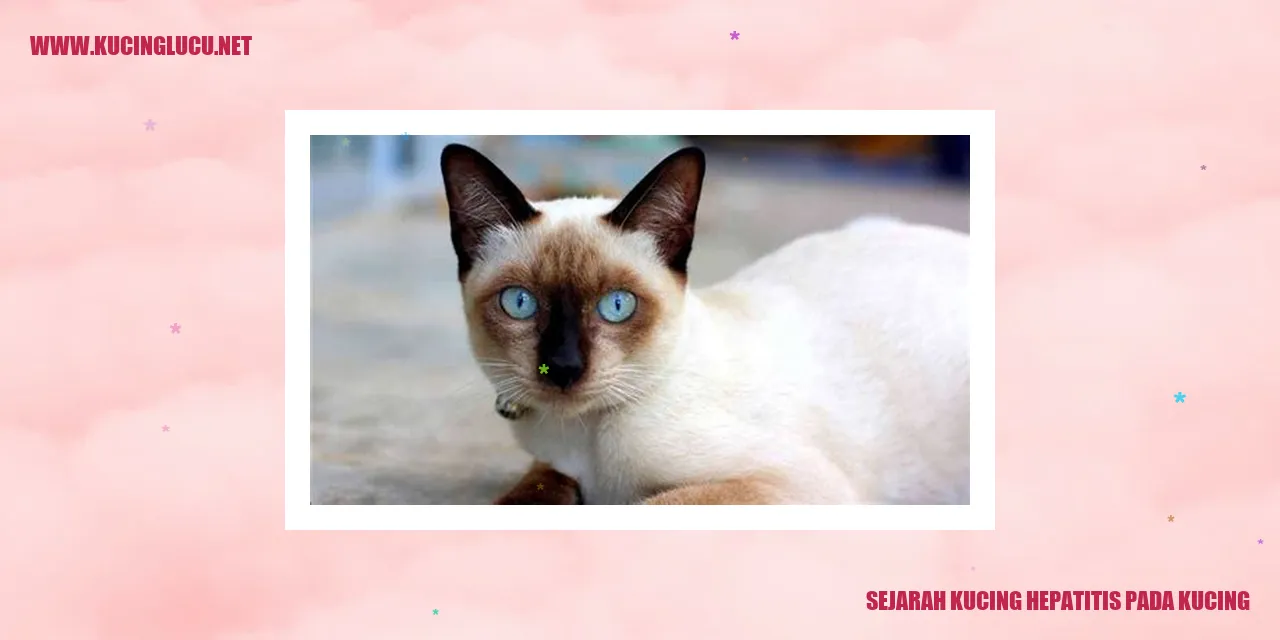 Sejarah Kucing Hepatitis pada Kucing