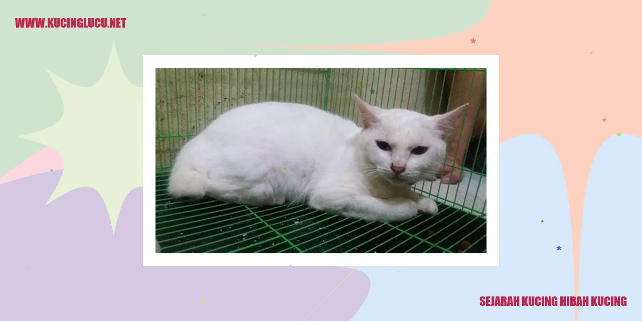 Sejarah Kucing Hibah