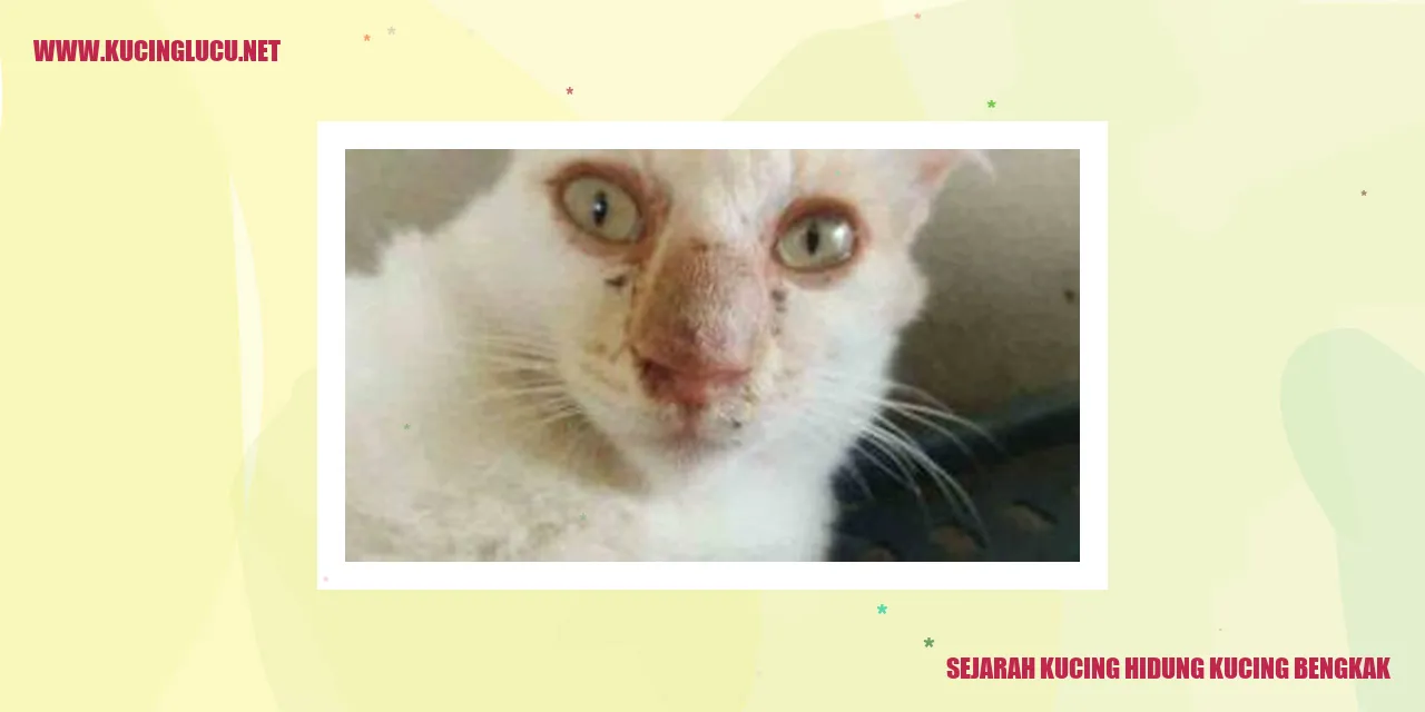 Potret Kucing Bengkak