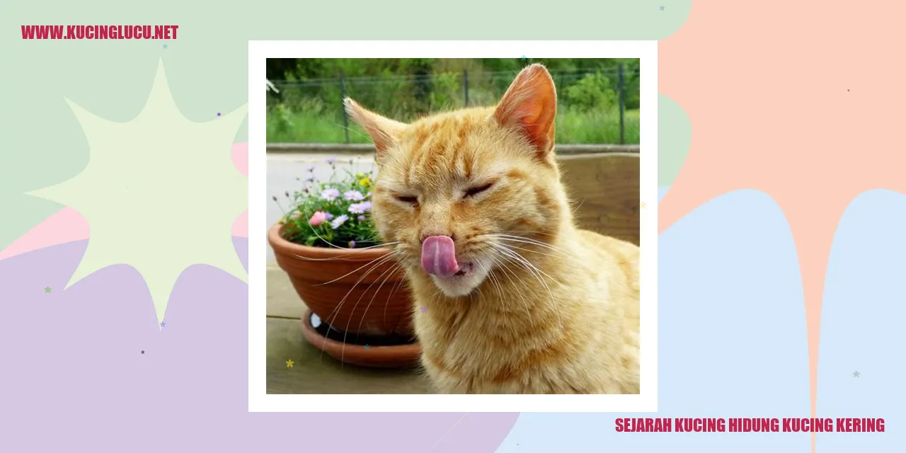 Sejarah Kucing Hidung Kucing Kering