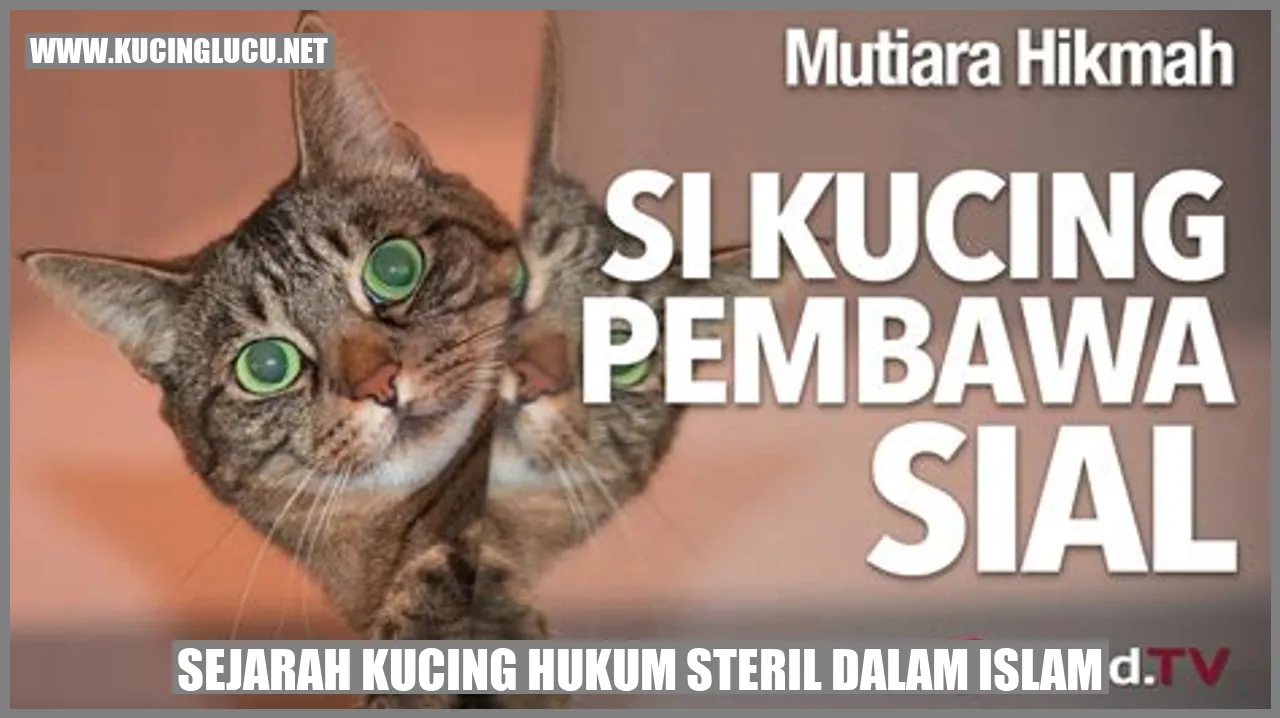 Kucing