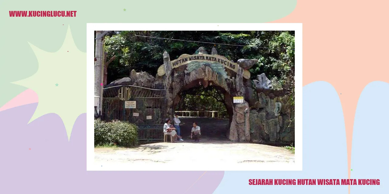 Kucing Hutan Wisata Mata Kucing