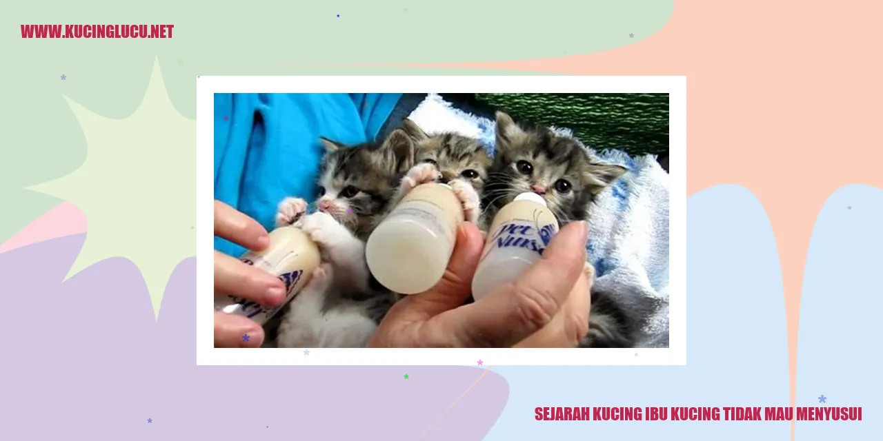 Gambar Sejarah Kucing ibu kucing tidak mau menyusui
