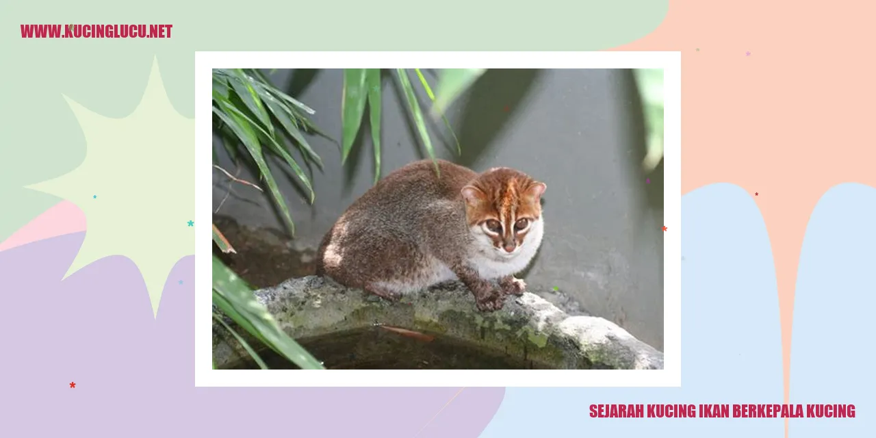 Gambar Kucing Ikan Berkepala Kucing