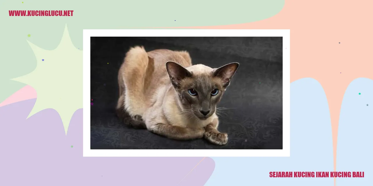 Gambar Kucing Bali