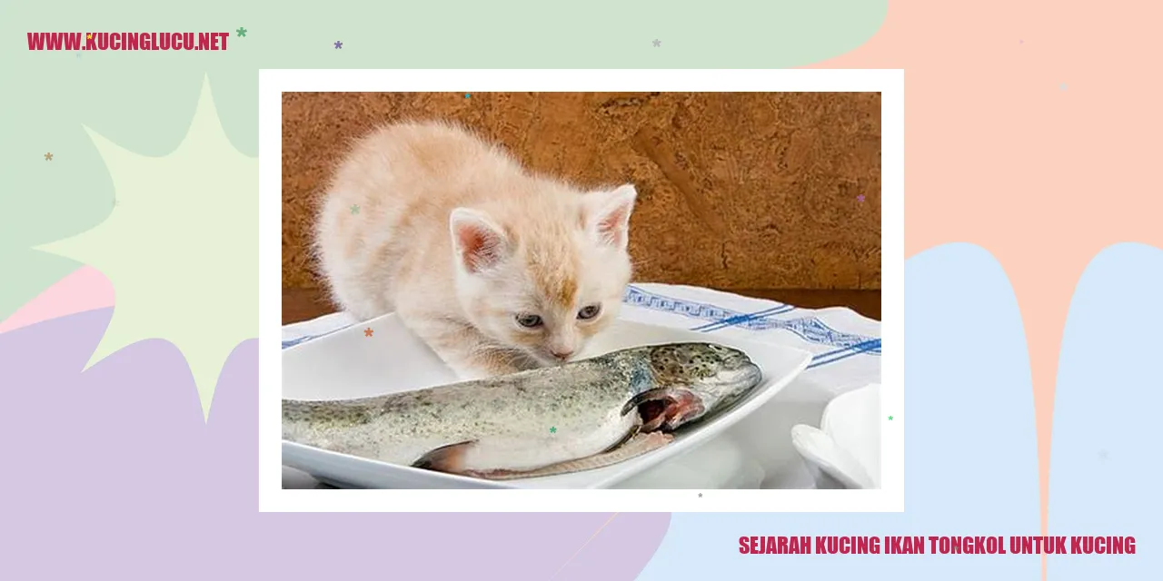 Kucing Ikan Tongkol