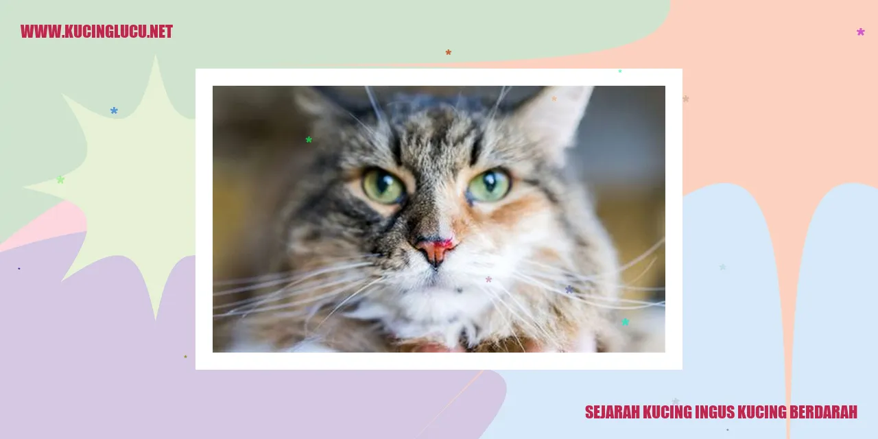 Gambar Sejarah Kucing Ingus Kucing Berdarah