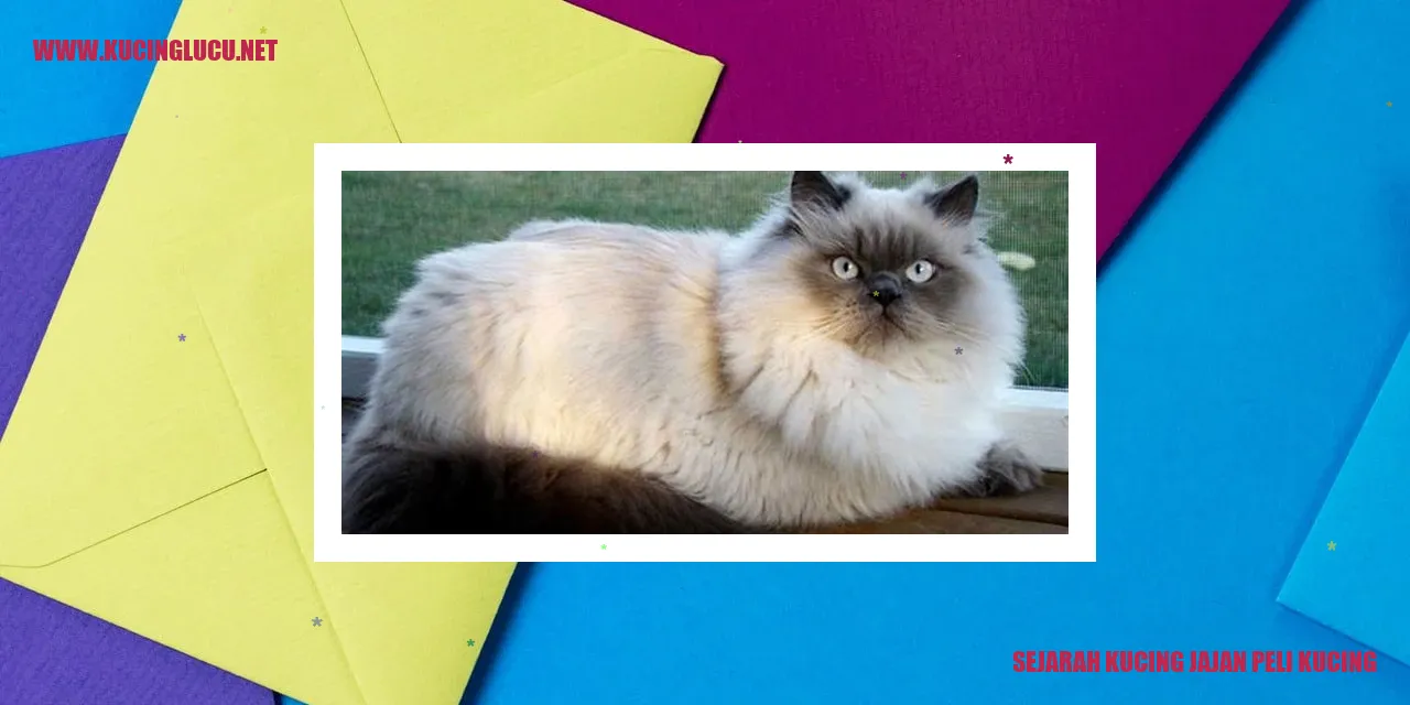 Gambar Sejarah Kucing Jajan Peli Kucing