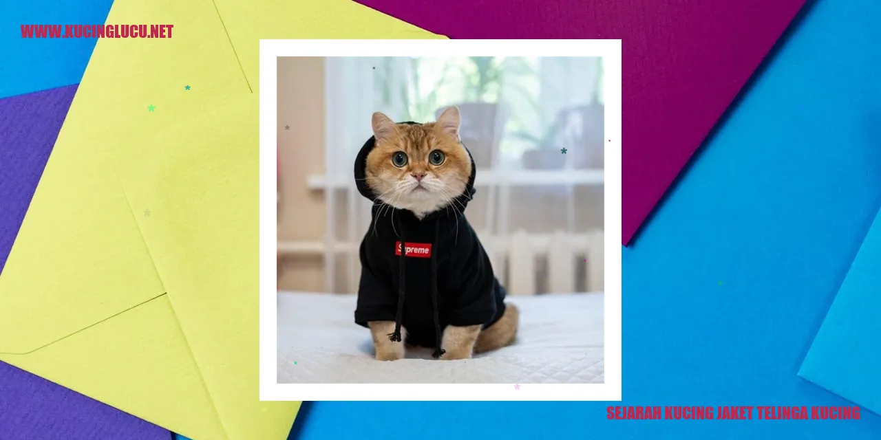 Kucing Jaket Telinga Kucing