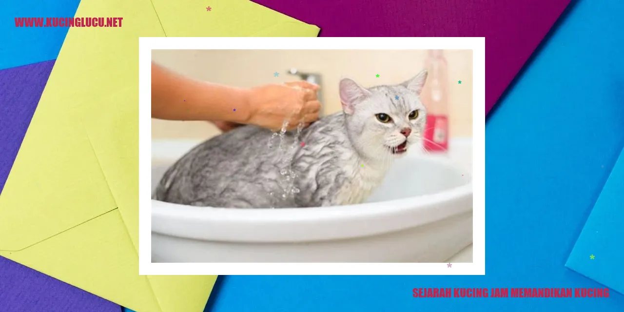 kucing mandi
