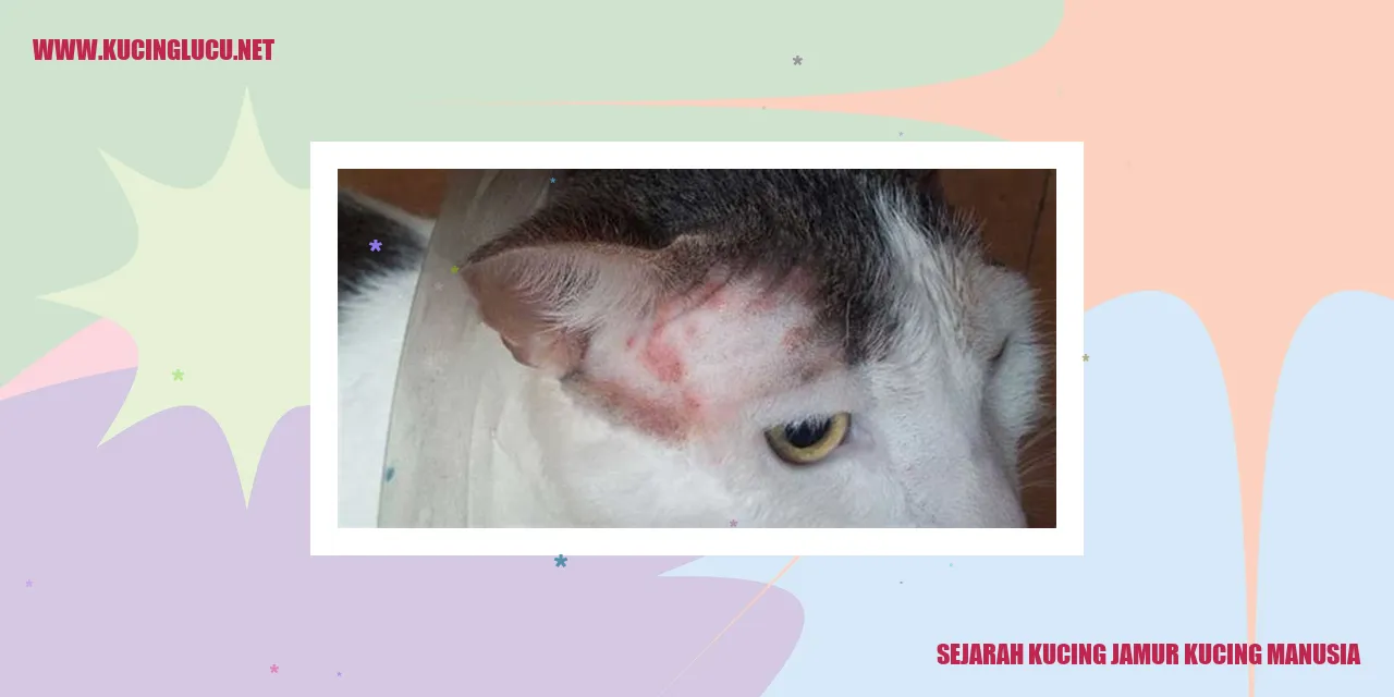 Kucing Jamur Kucing Manusia yang Legendaris