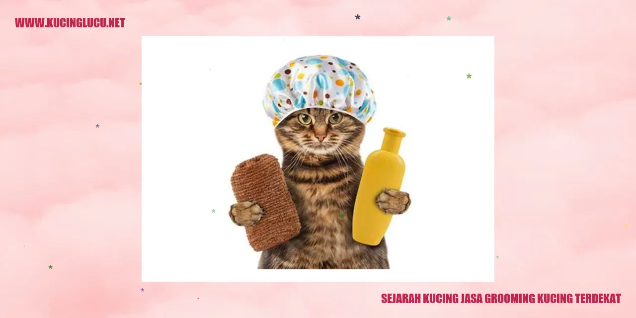 Kucing Jasa Grooming
