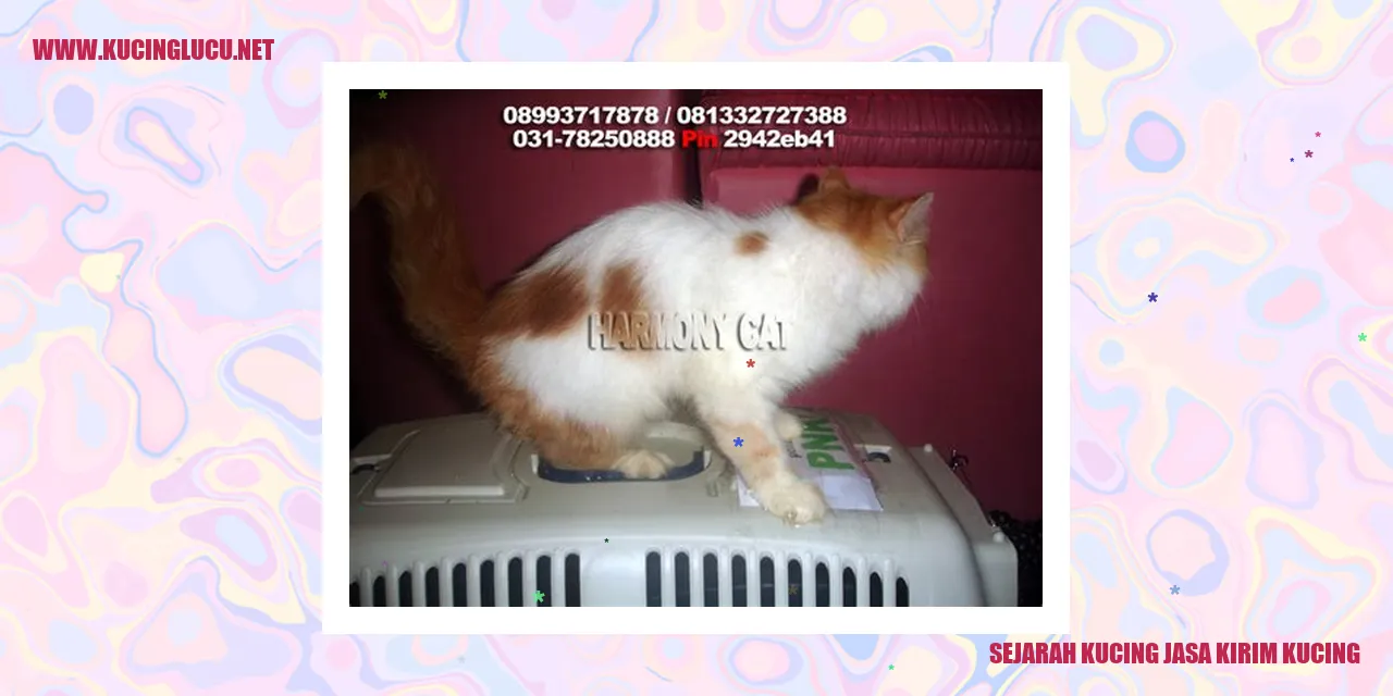 Sejarah Kucing jasa kirim kucing