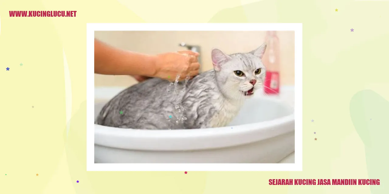 Gambar Kucing Jasa Mandiin Kucing