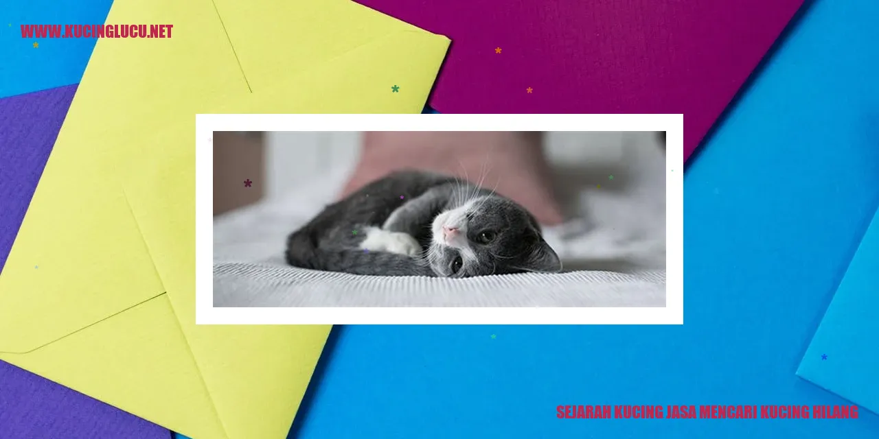 Gambar Sejarah Kucing Jasa Mencari Kucing Hilang