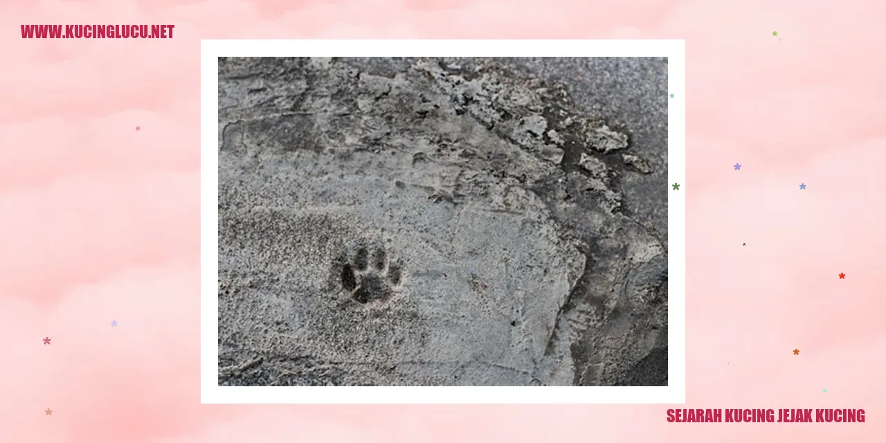 Sejarah Kucing Jejak Kucing