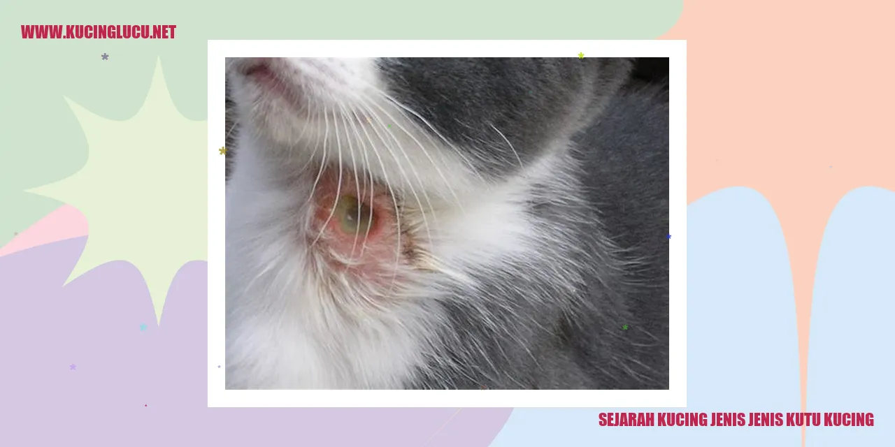 Gambar Kucing dan Kutu Kucing