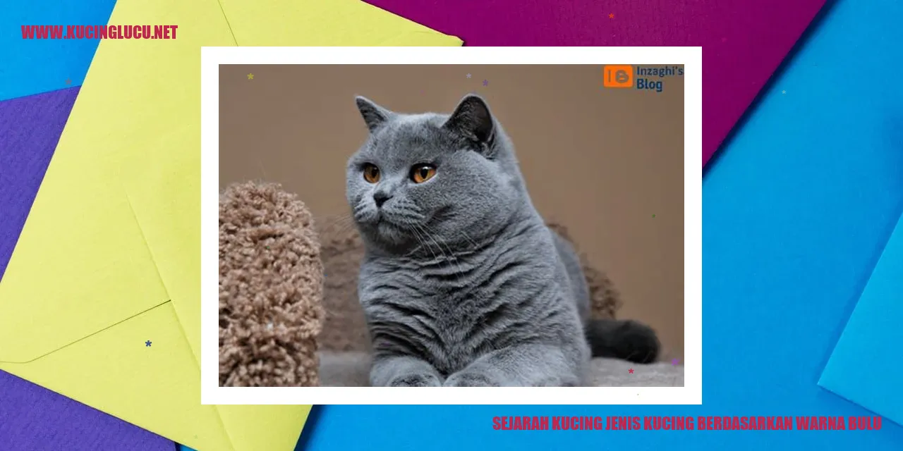 Gambar Kucing yang Menggambarkan Variasi Warna Bulu