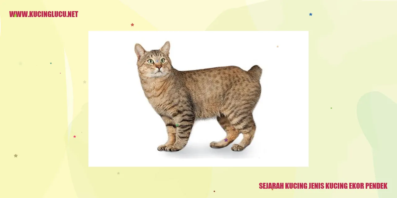 Kucing Ekor Pendek