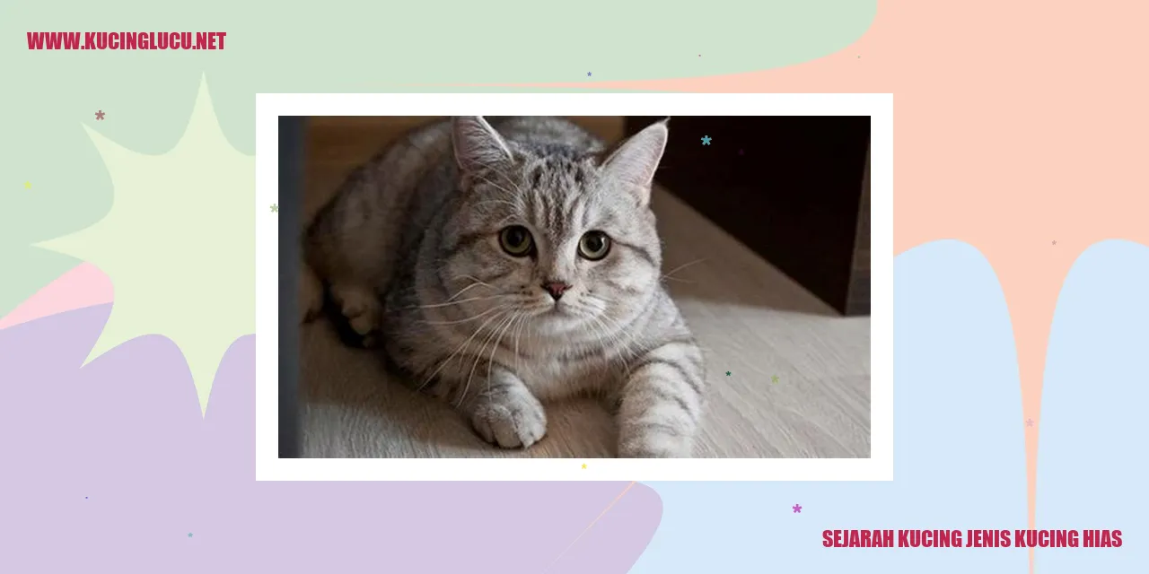 Sejarah Kucing Jenis Kucing Hias