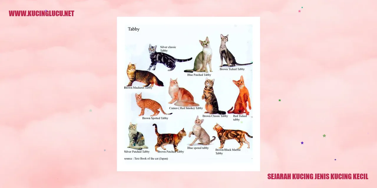 Kucing Jenis Kucing Kecil
