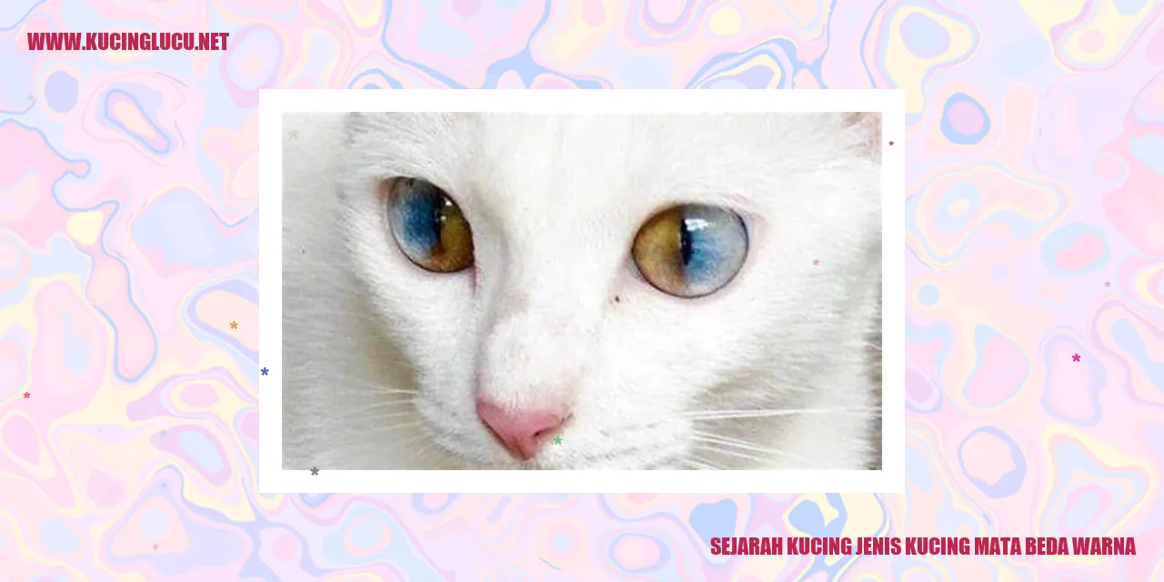 Kucing Mata Warna Berbeda