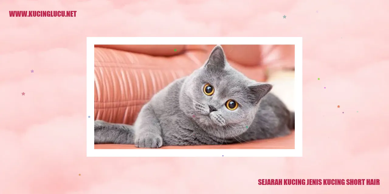 Sejarah Kucing Jenis Kucing Short Hair