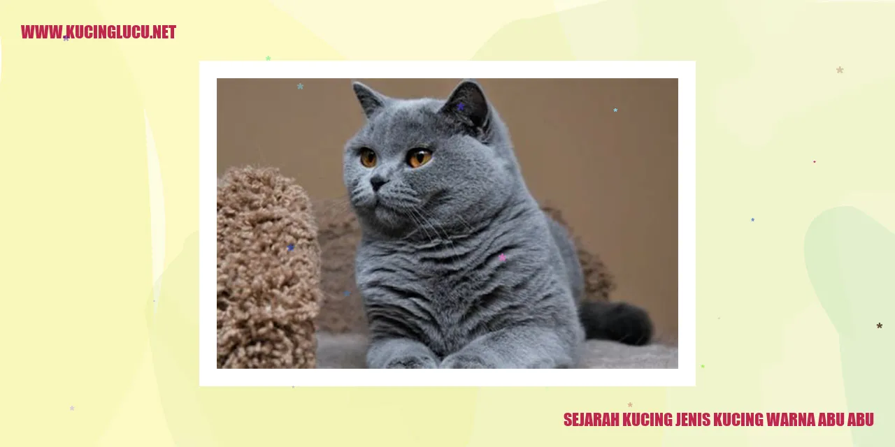 Gambar Kucing Berkulit Abu-abu
