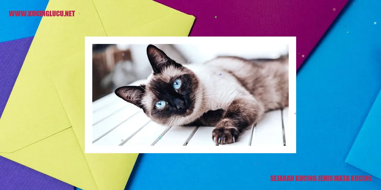 Gambar Kucing Jenis Mata Kucing