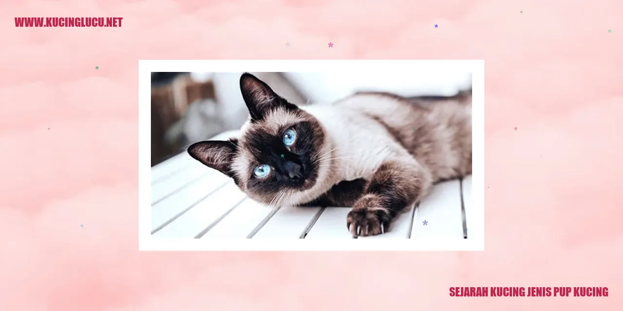 Kucing Jenis Pup Kucing
