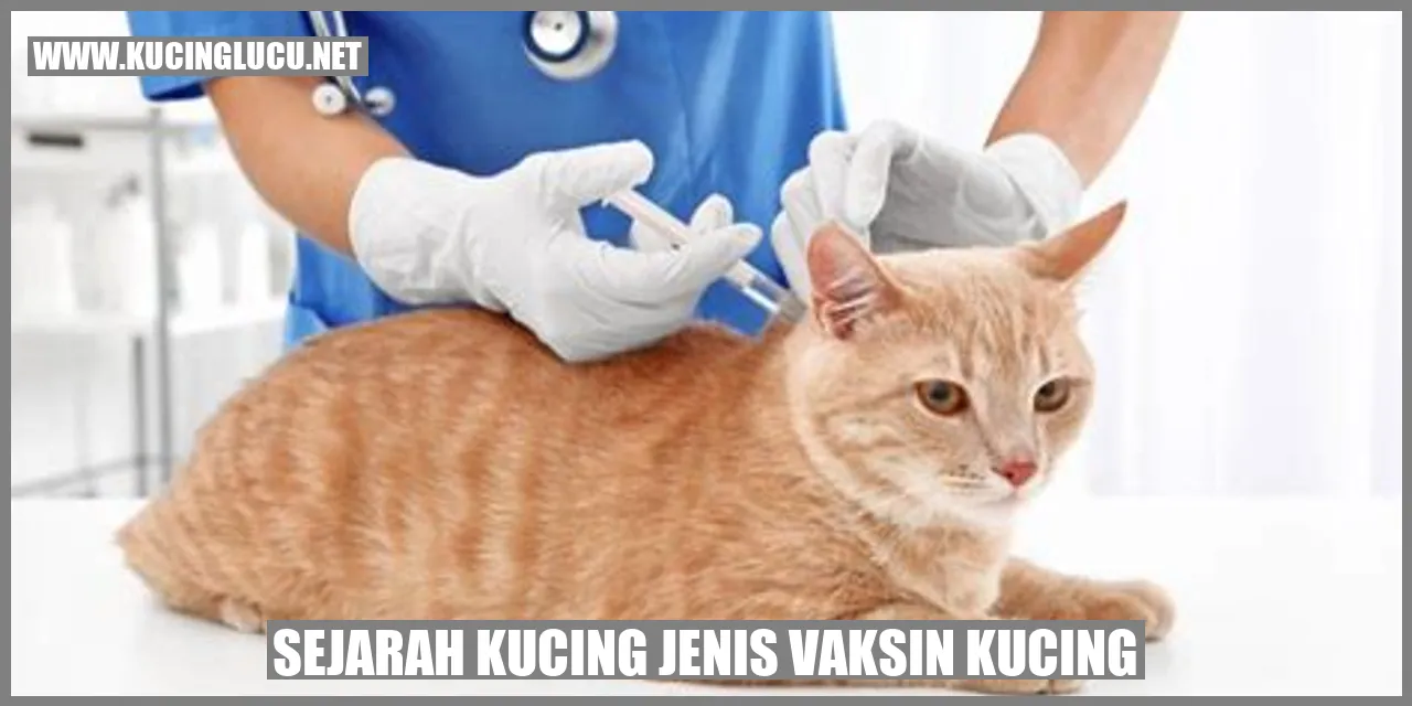 Ilustrasi Vaksin Kucing