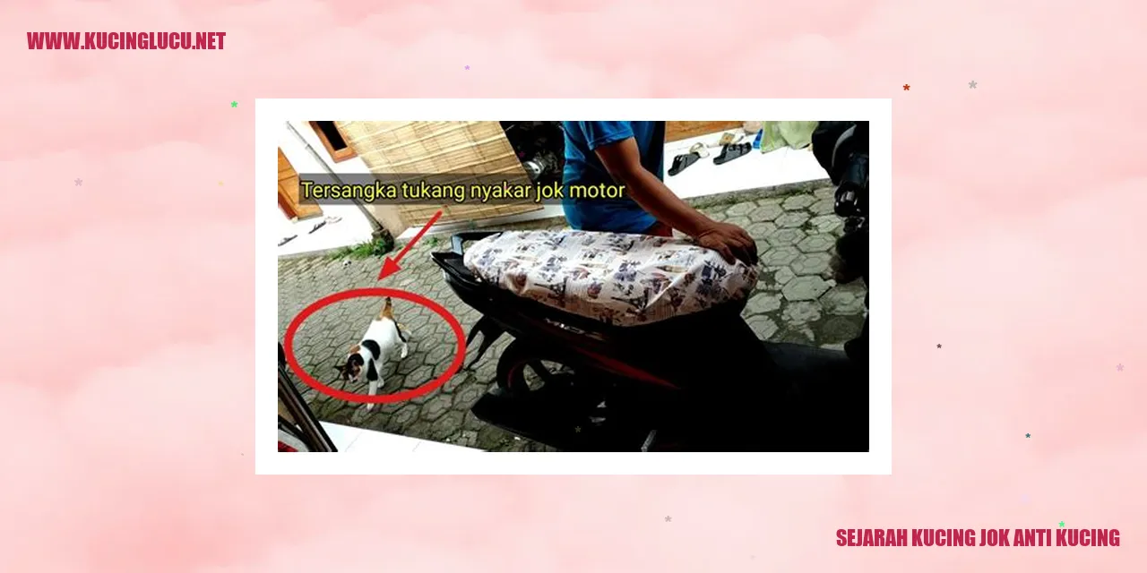 Ilustrasi Kucing