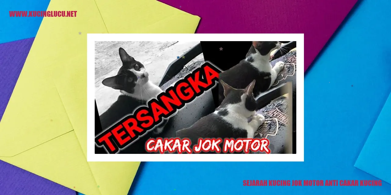 gambar kucing jok motor anti cakar kucing