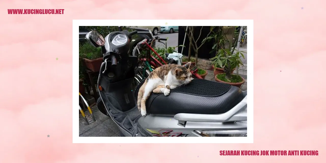 Gambar Kucing Jok Motor Anti Kucing