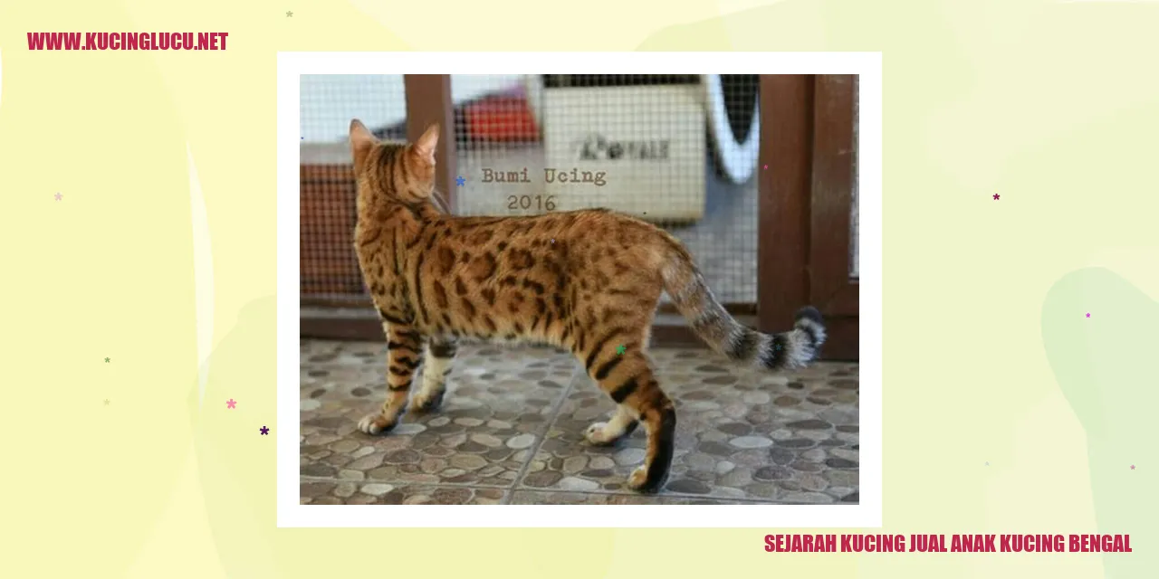 Sejarah Kucing Jual Anak Kucing Bengal