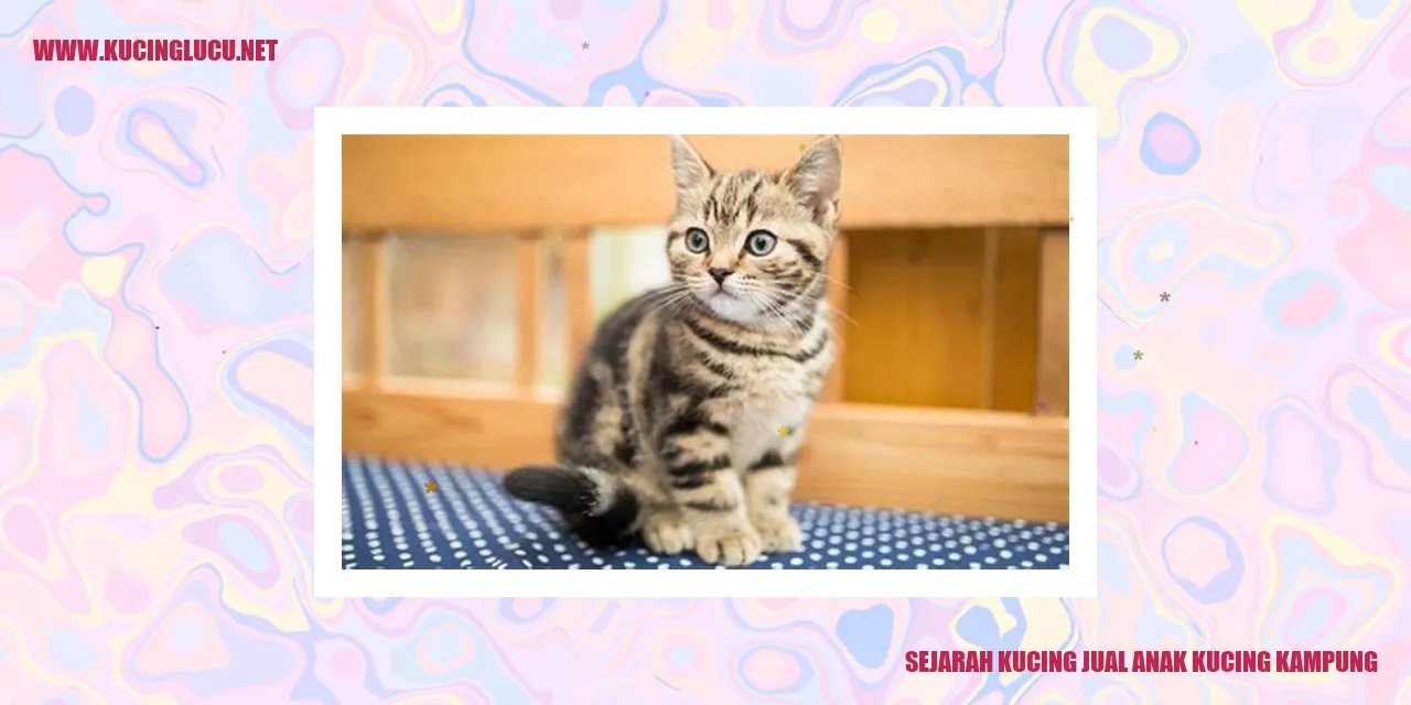 Anak Kucing Kampung