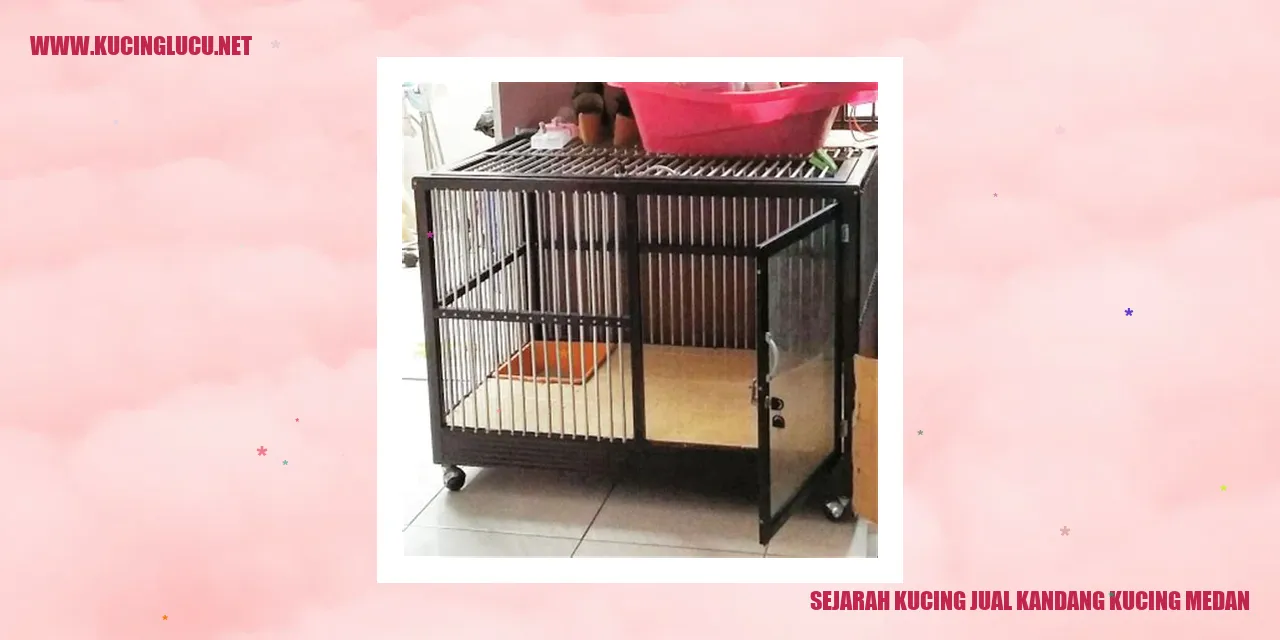 Foto Perjalanan Kucing Jual Kandang Kucing Medan