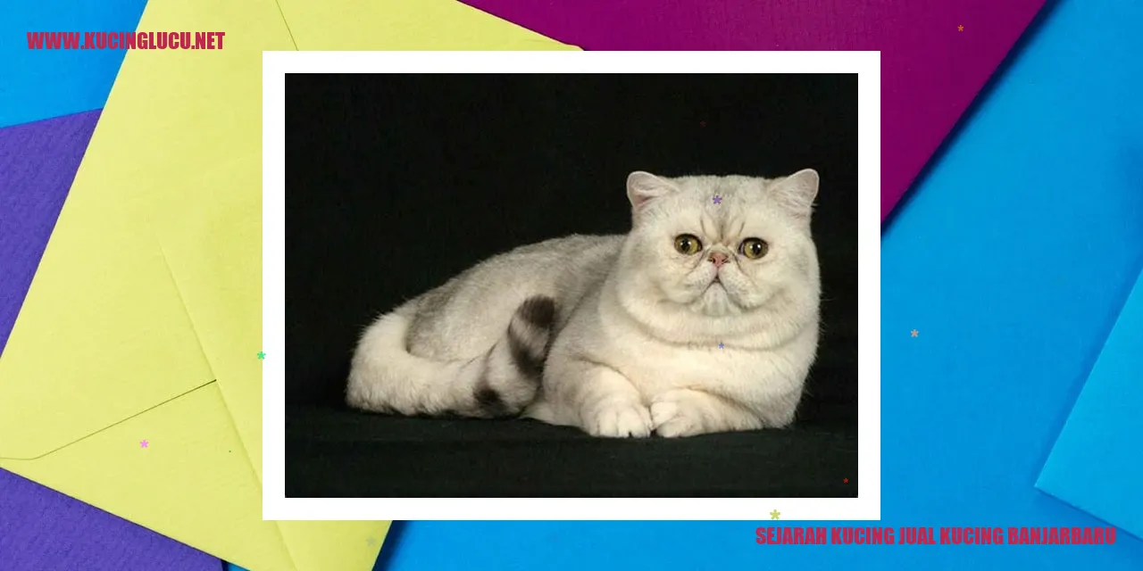 Sejarah Kucing Jual Kucing Banjarbaru