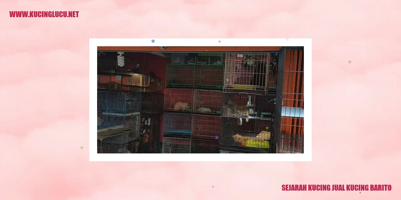 Gambar Kucing Barito