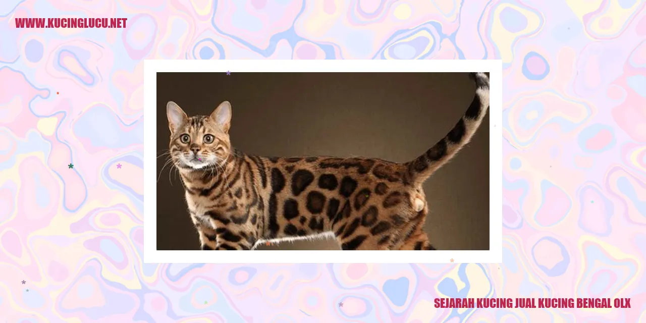 Sejarah Kucing jual kucing bengal olx