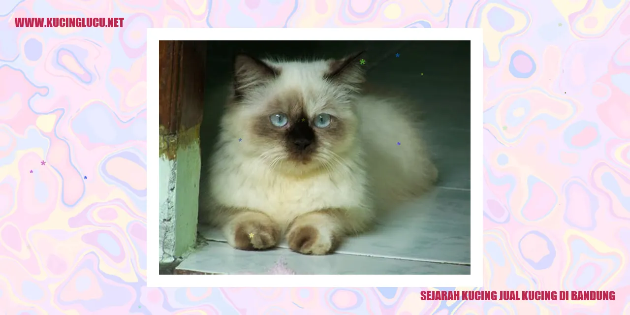 Gambar Kucing