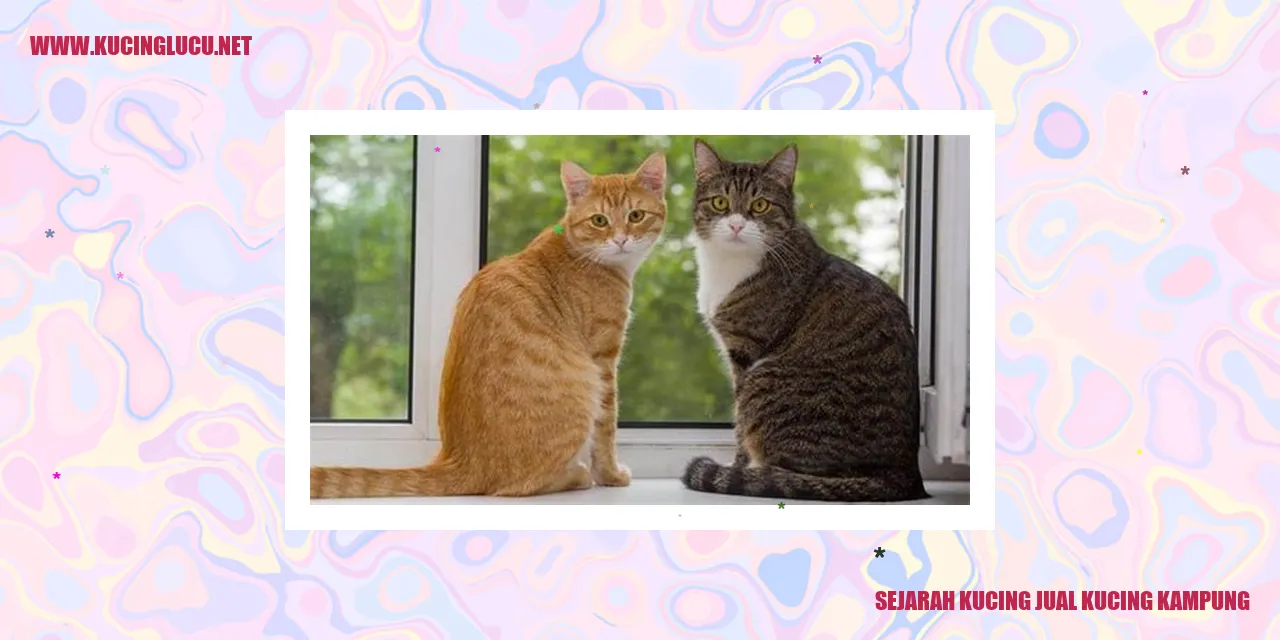 Kucing Jual Kucing Kampung